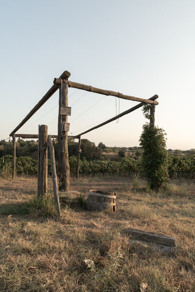 Aslanis Famili Winery-2