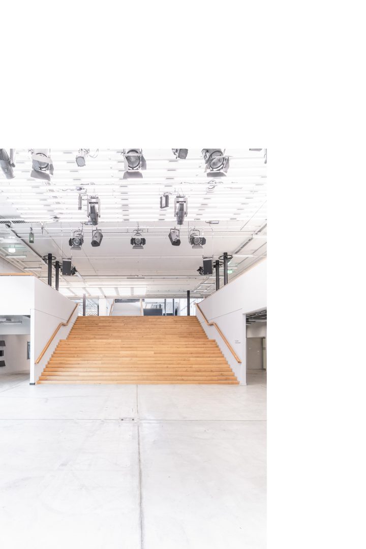 Toni Areal, Zurich