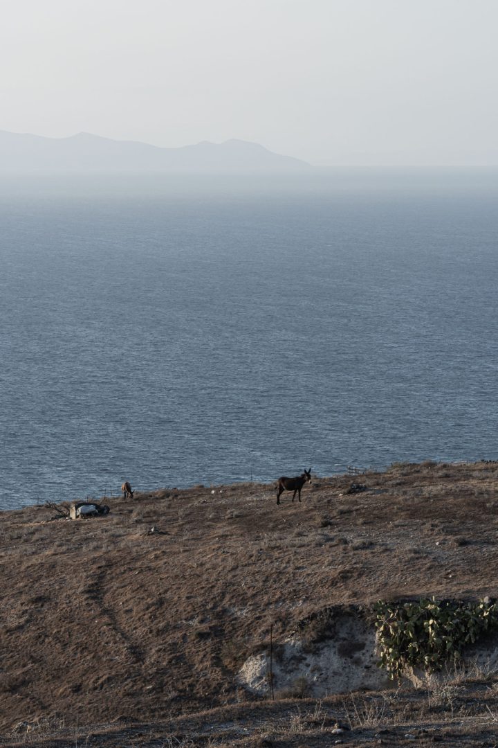Mirka Thira Winery, Thirasea-0